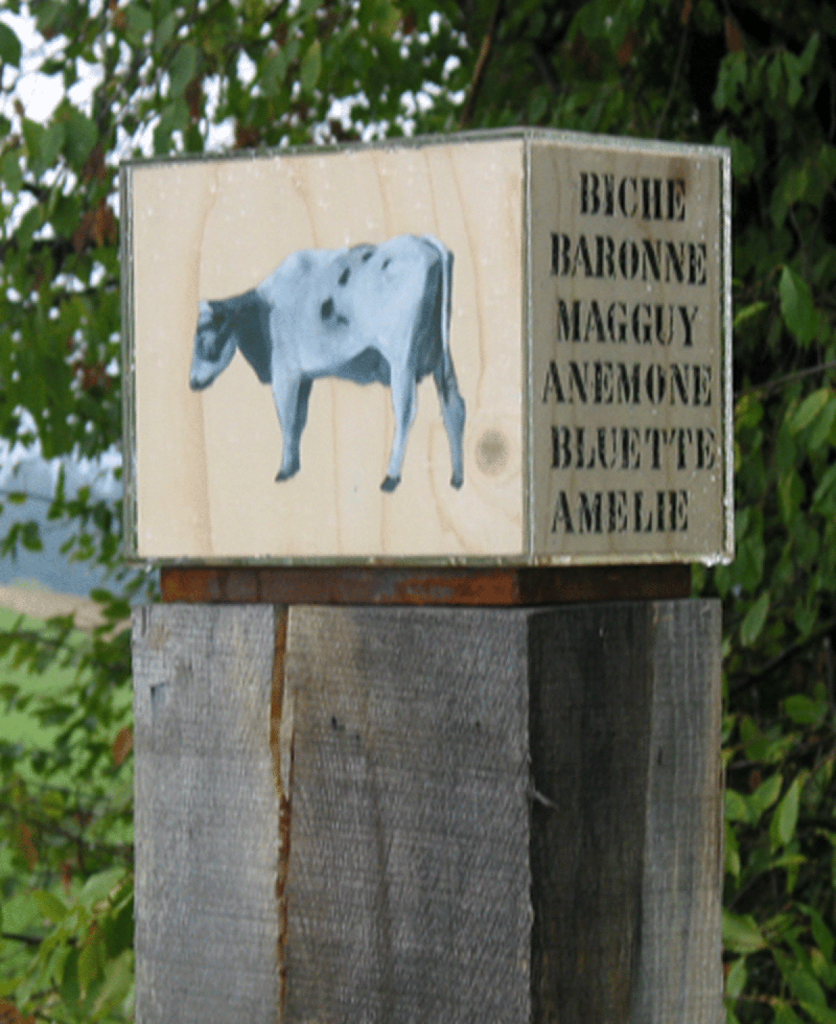 Photo pour l'oeuvre de Barbara Oetterli