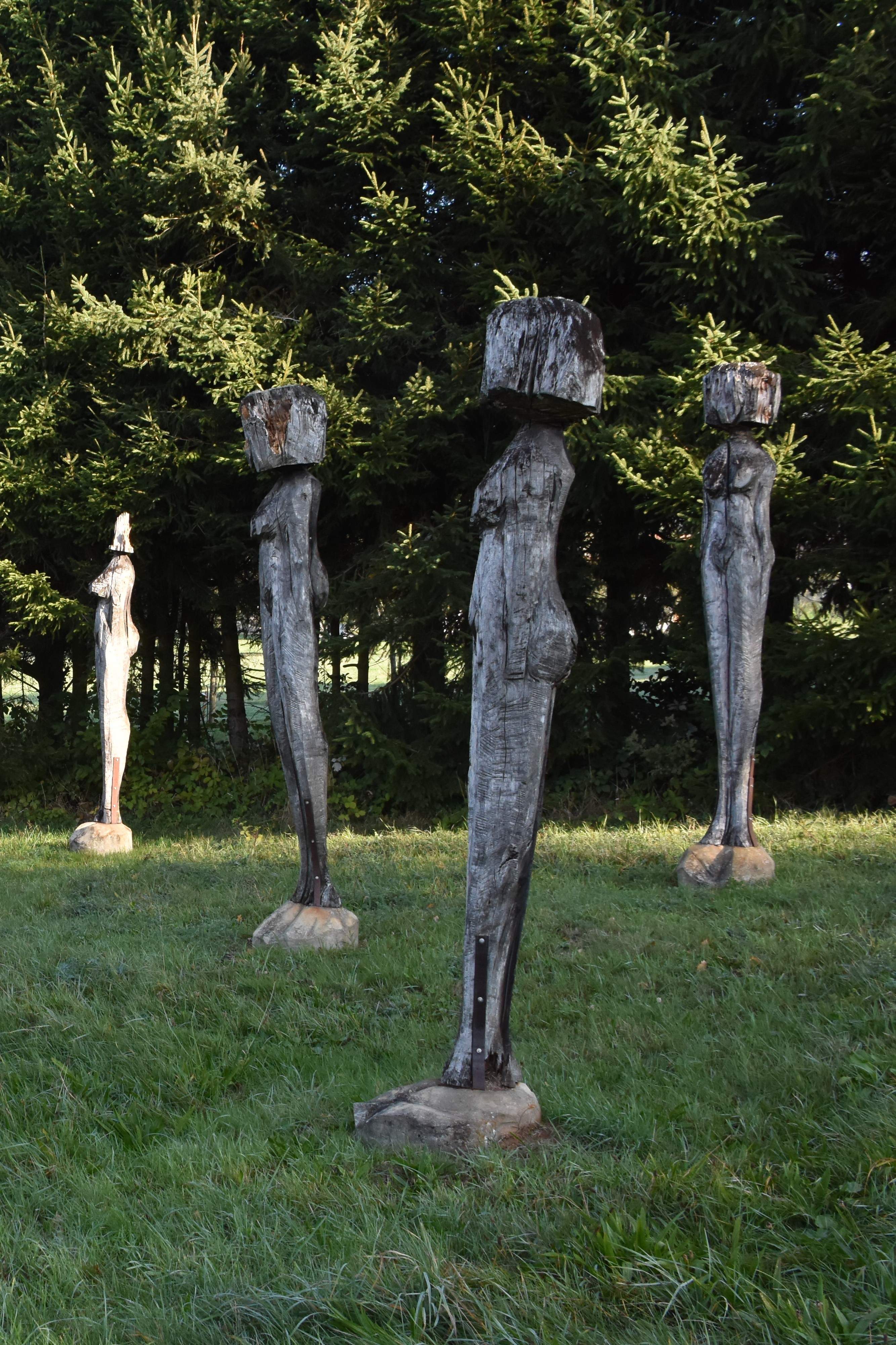 Photo pour l'oeuvre de Stefan Hubscher
