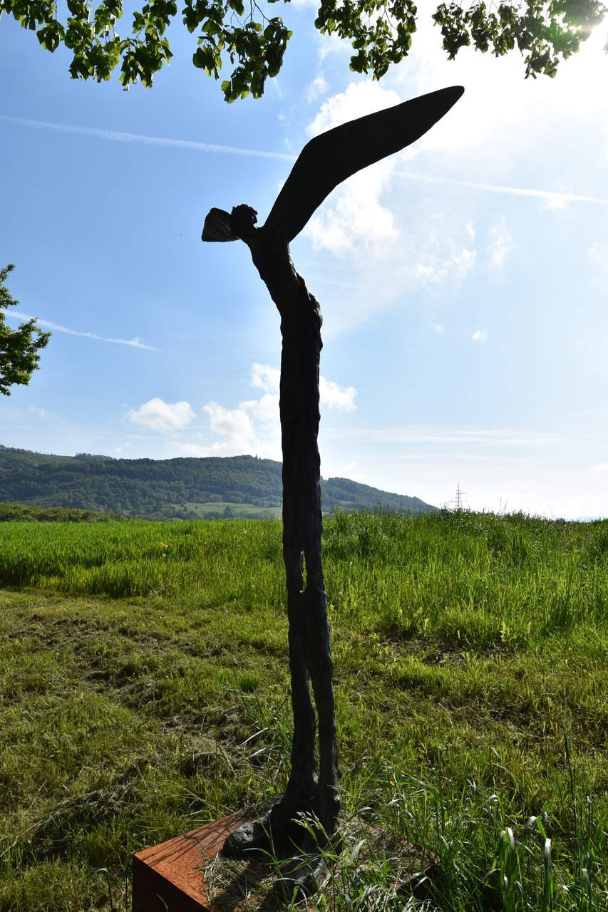 Photo pour l'oeuvre de Robert Indermaur