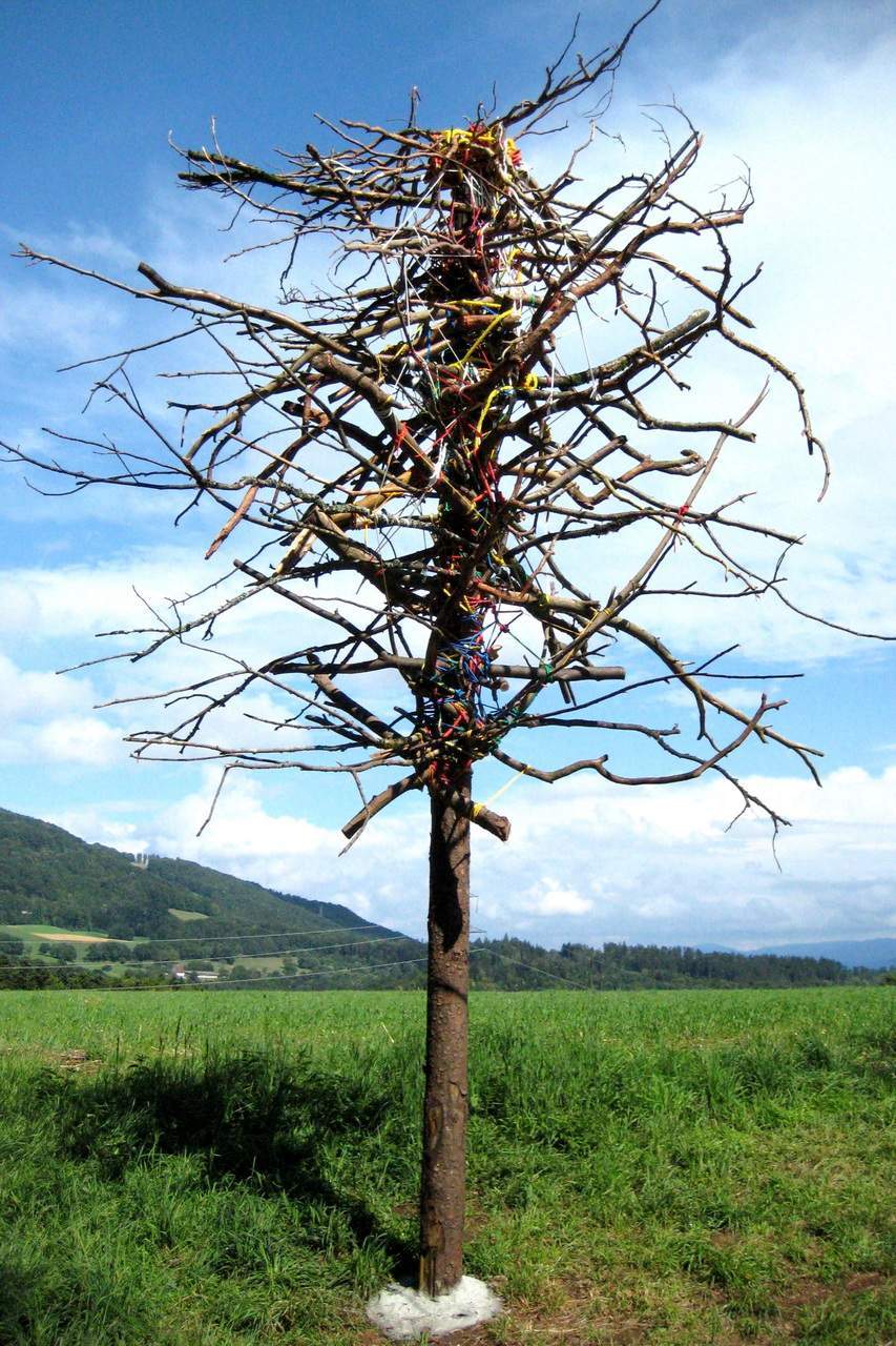 Photo pour l'oeuvre de  Théodora